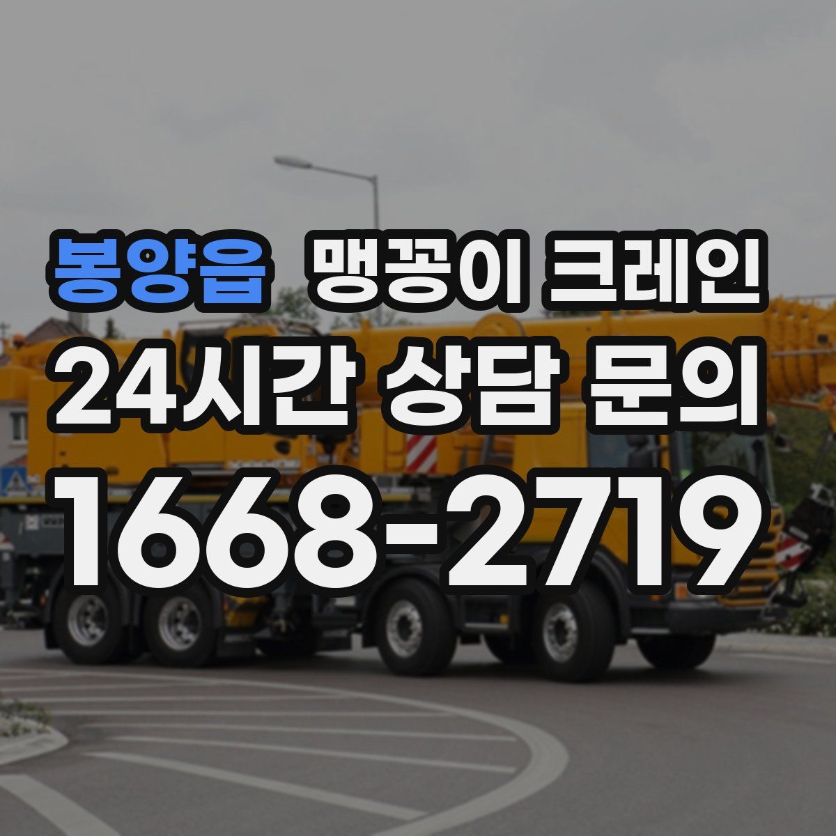 봉양읍 맹꽁이 크레인