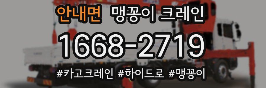 안내면 맹꽁이 크레인