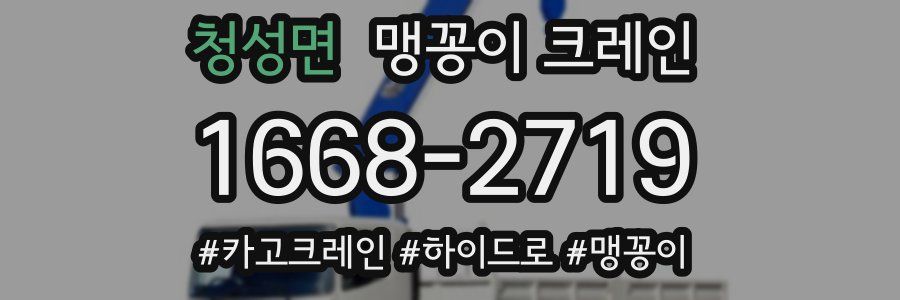 청성면 맹꽁이 크레인