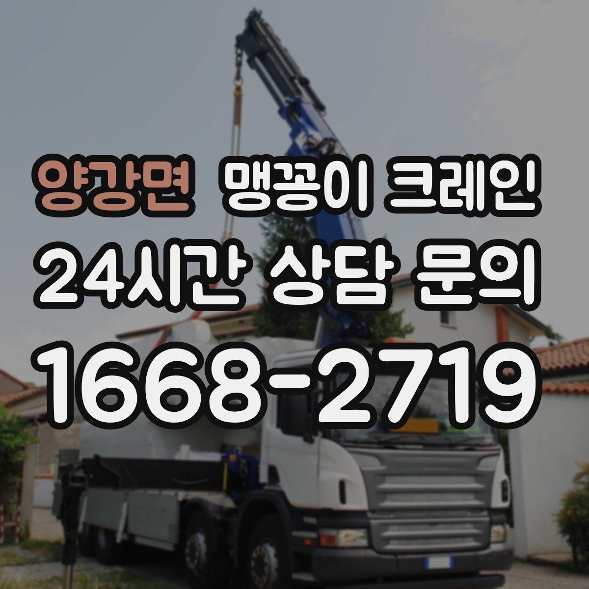 양강면 맹꽁이 크레인