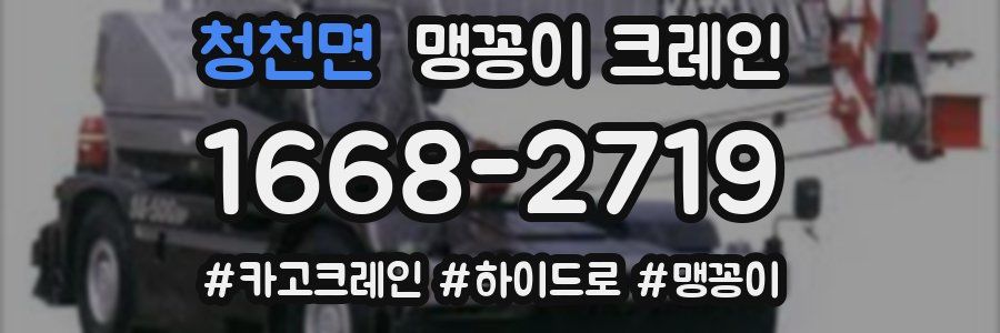 청천면 맹꽁이 크레인