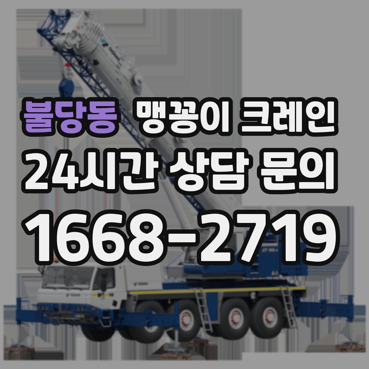 불당동 맹꽁이 크레인