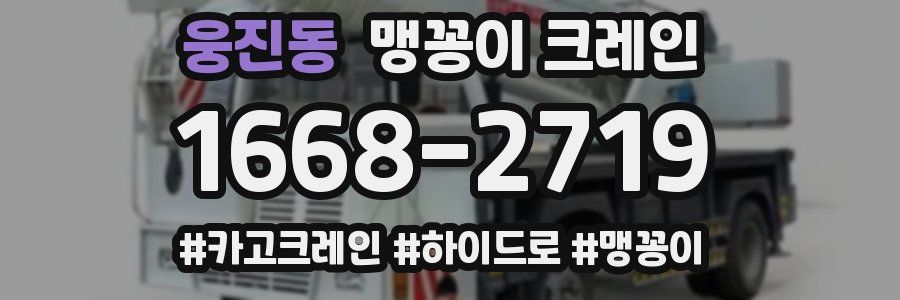 웅진동 맹꽁이 크레인