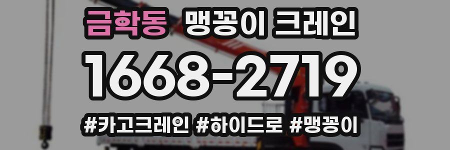 금학동 맹꽁이 크레인