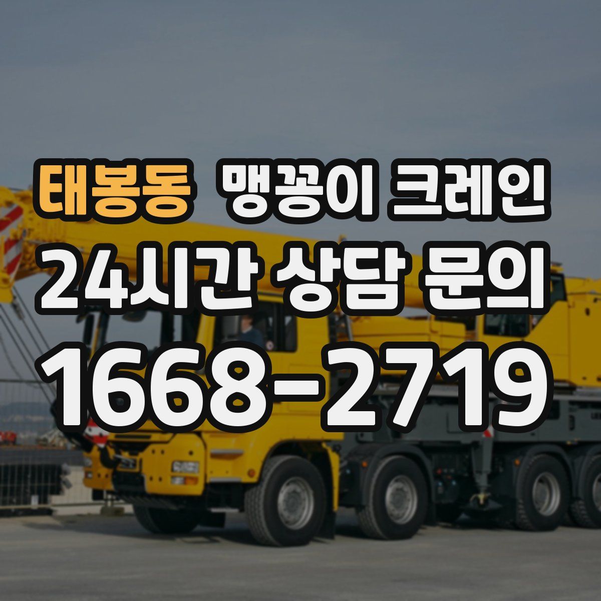 태봉동 맹꽁이 크레인