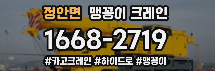 정안면 맹꽁이 크레인