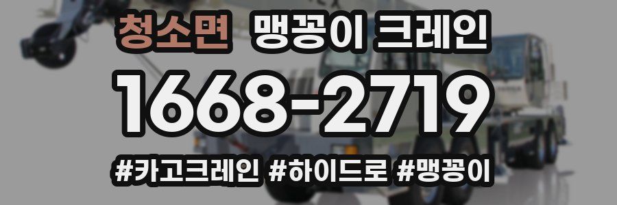 청소면 맹꽁이 크레인