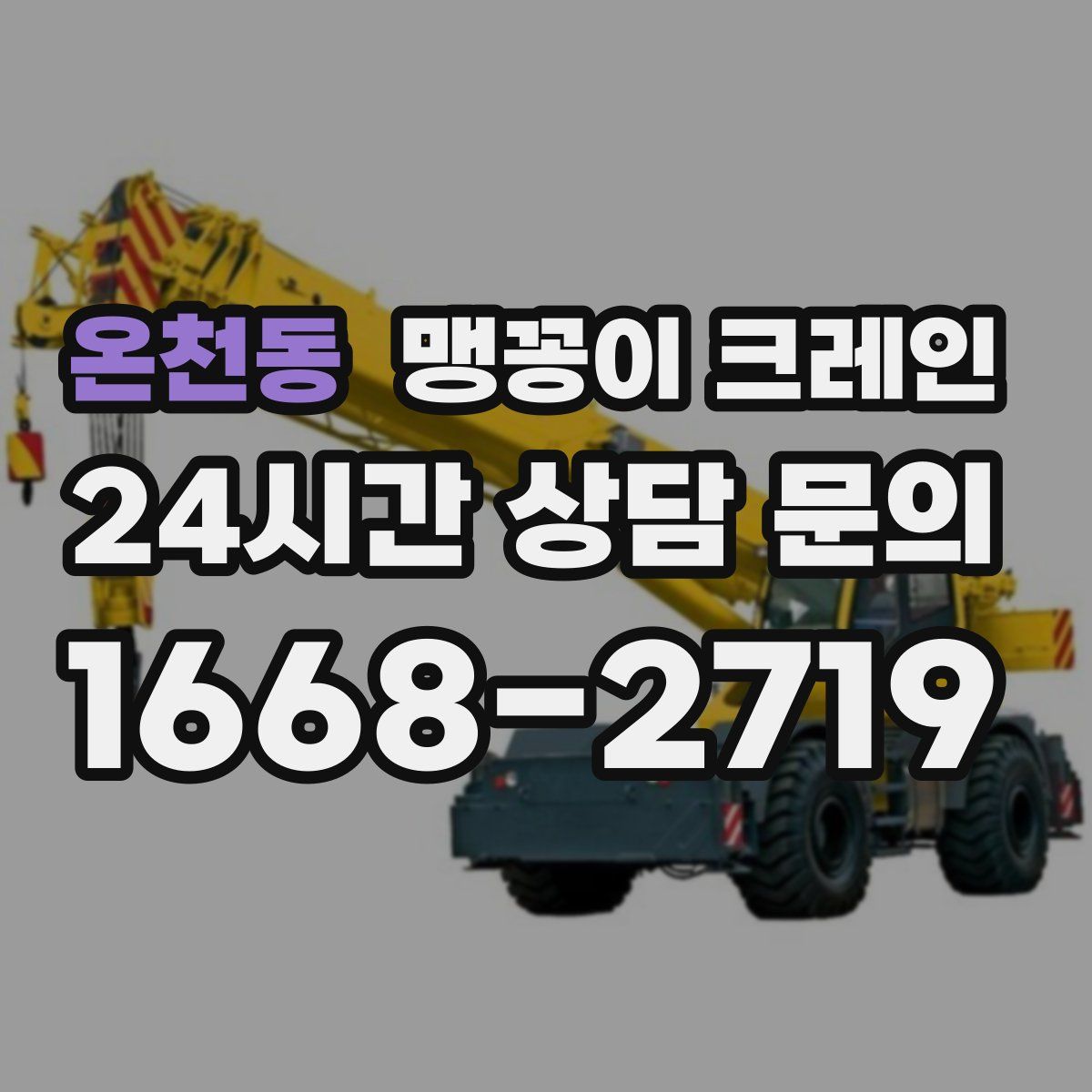 온천동 맹꽁이 크레인