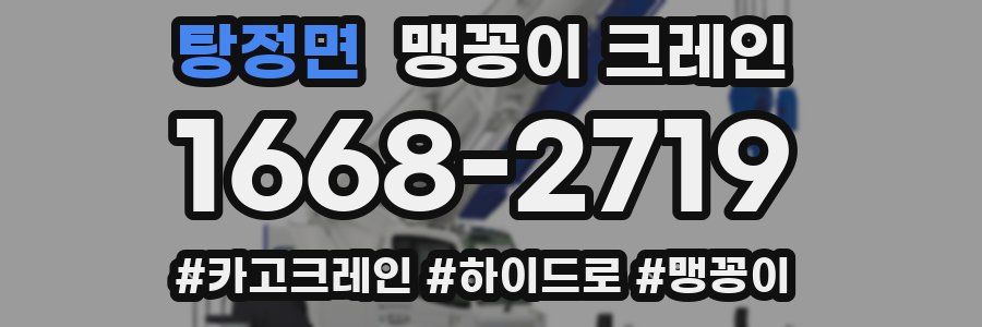 탕정면 맹꽁이 크레인