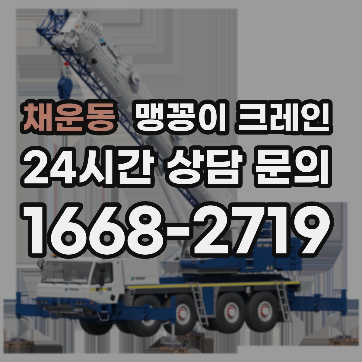 채운동 맹꽁이 크레인