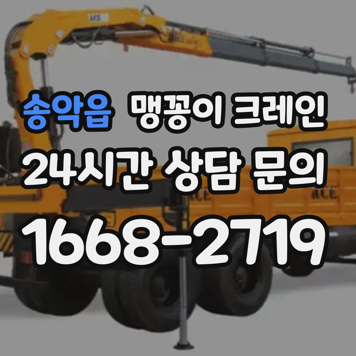 송악읍 맹꽁이 크레인