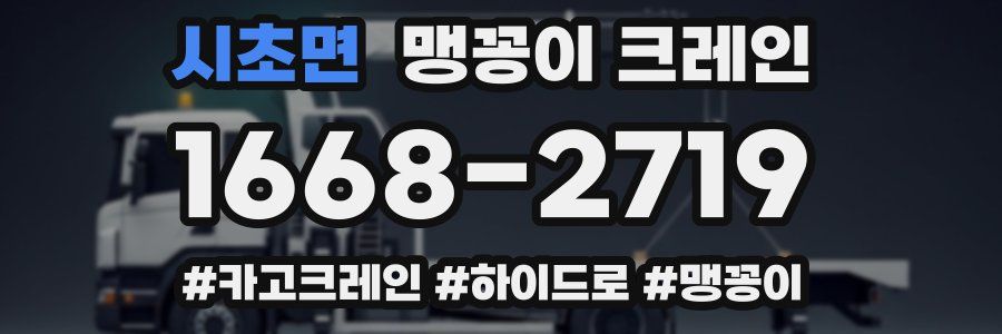 시초면 맹꽁이 크레인