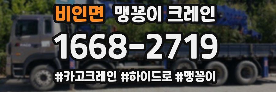 비인면 맹꽁이 크레인