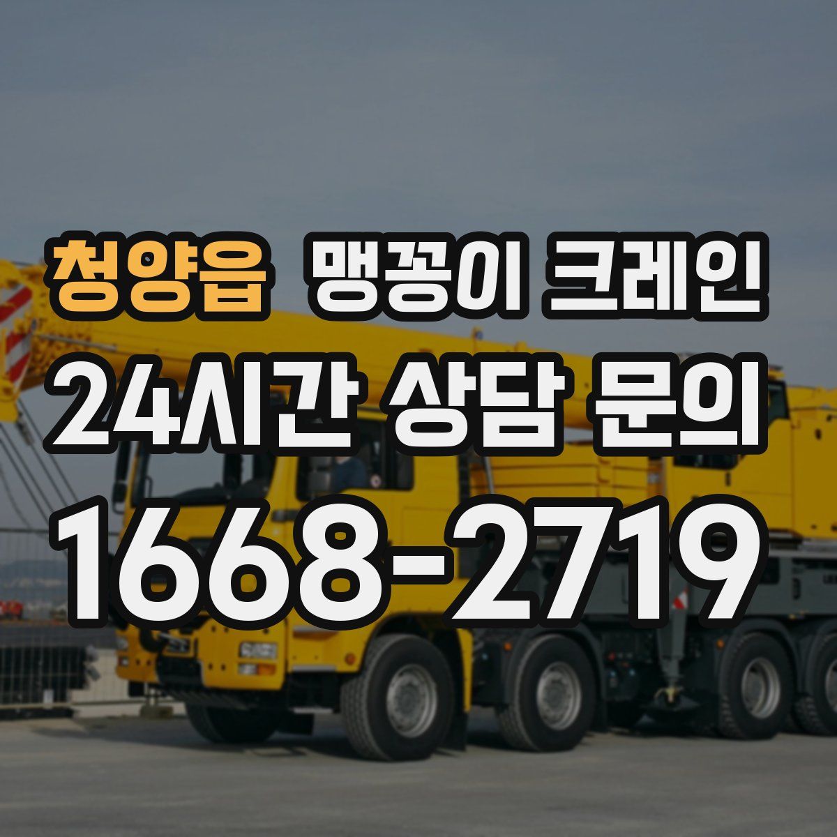 청양읍 맹꽁이 크레인