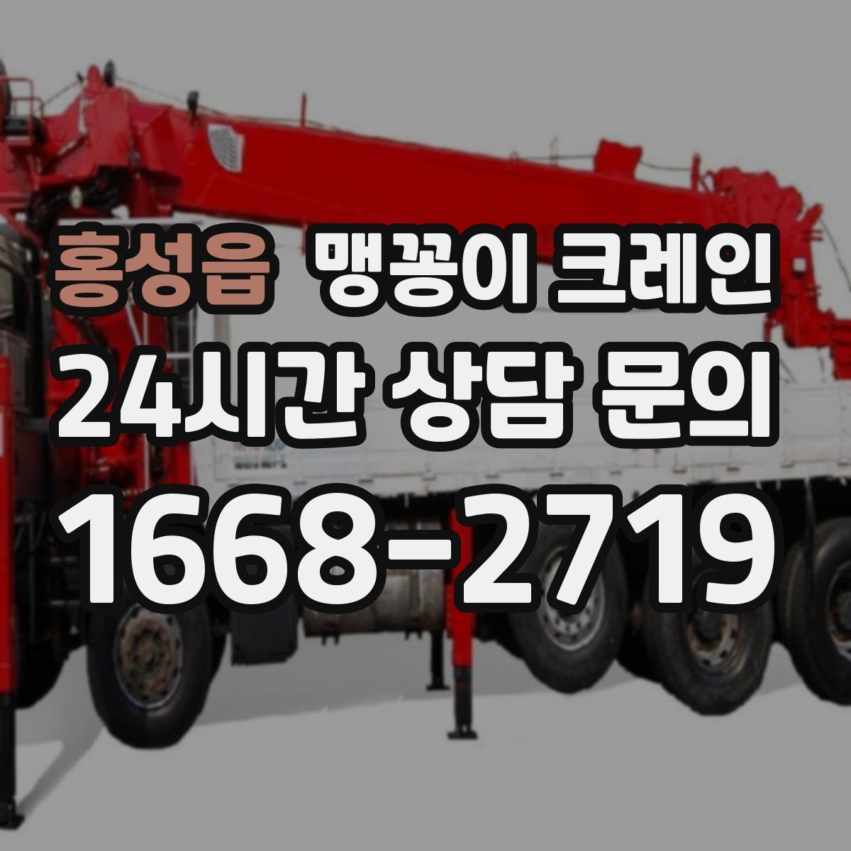 홍성읍 맹꽁이 크레인