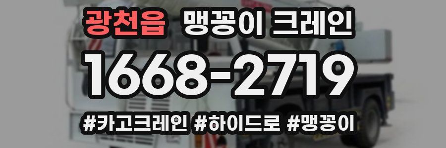 광천읍 맹꽁이 크레인