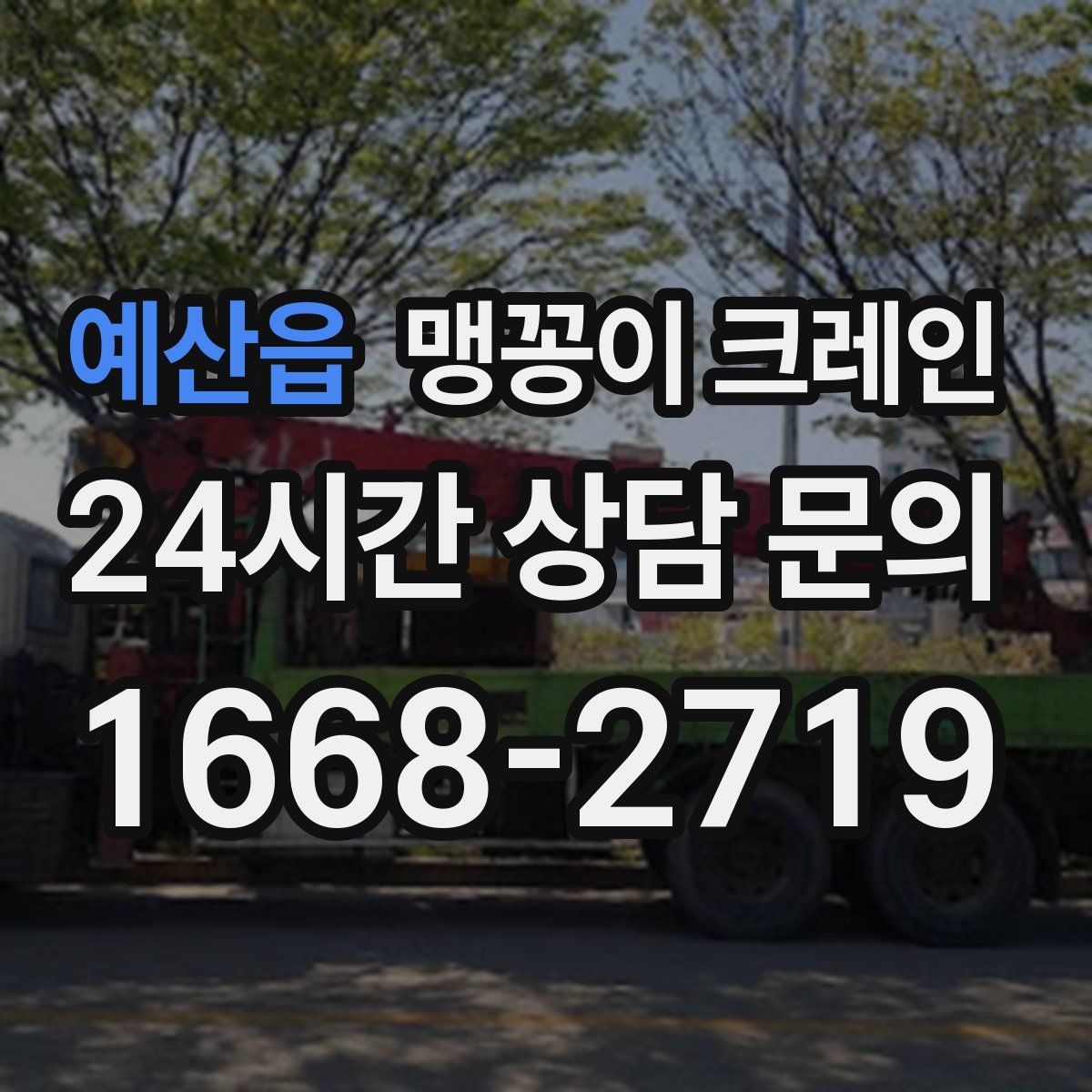 예산읍 맹꽁이 크레인