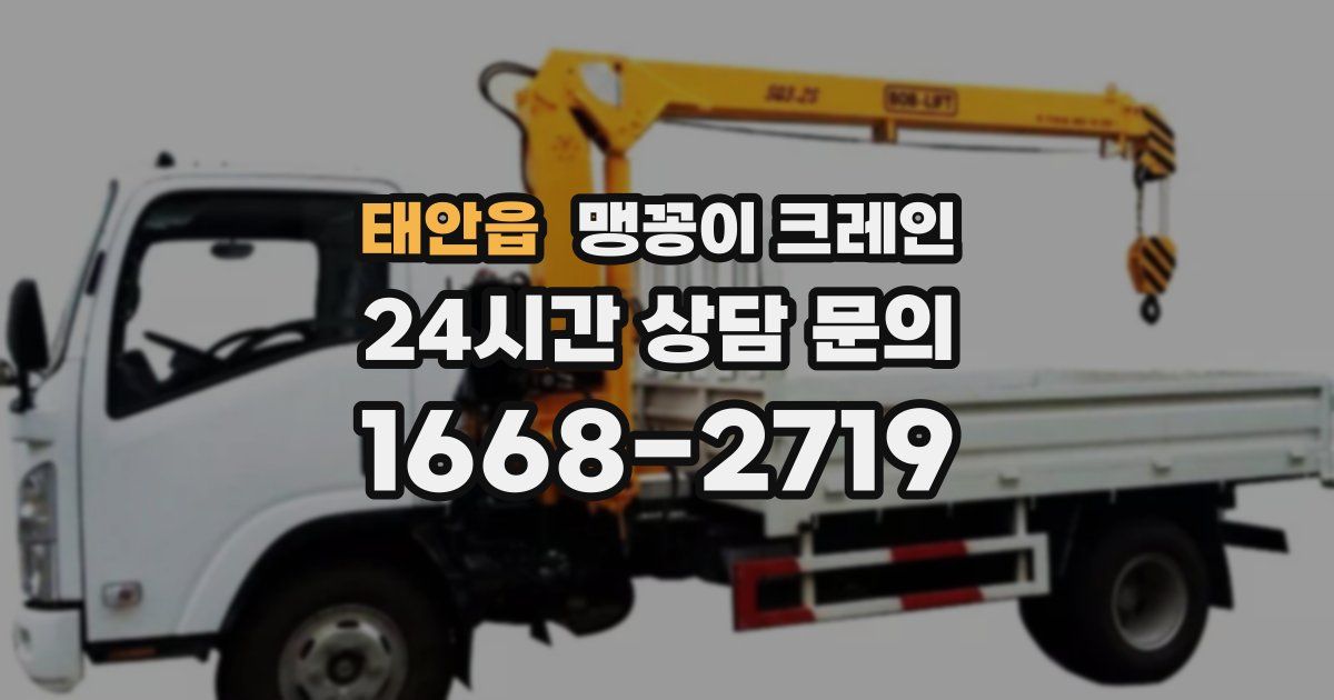 태안읍 맹꽁이 크레인