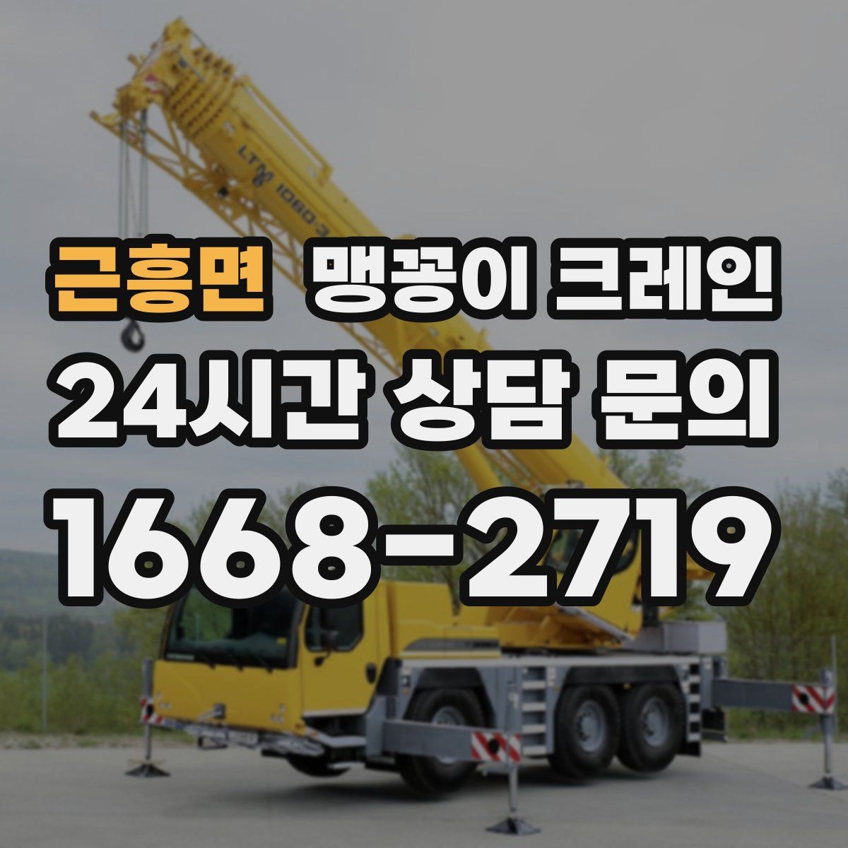 근흥면 맹꽁이 크레인