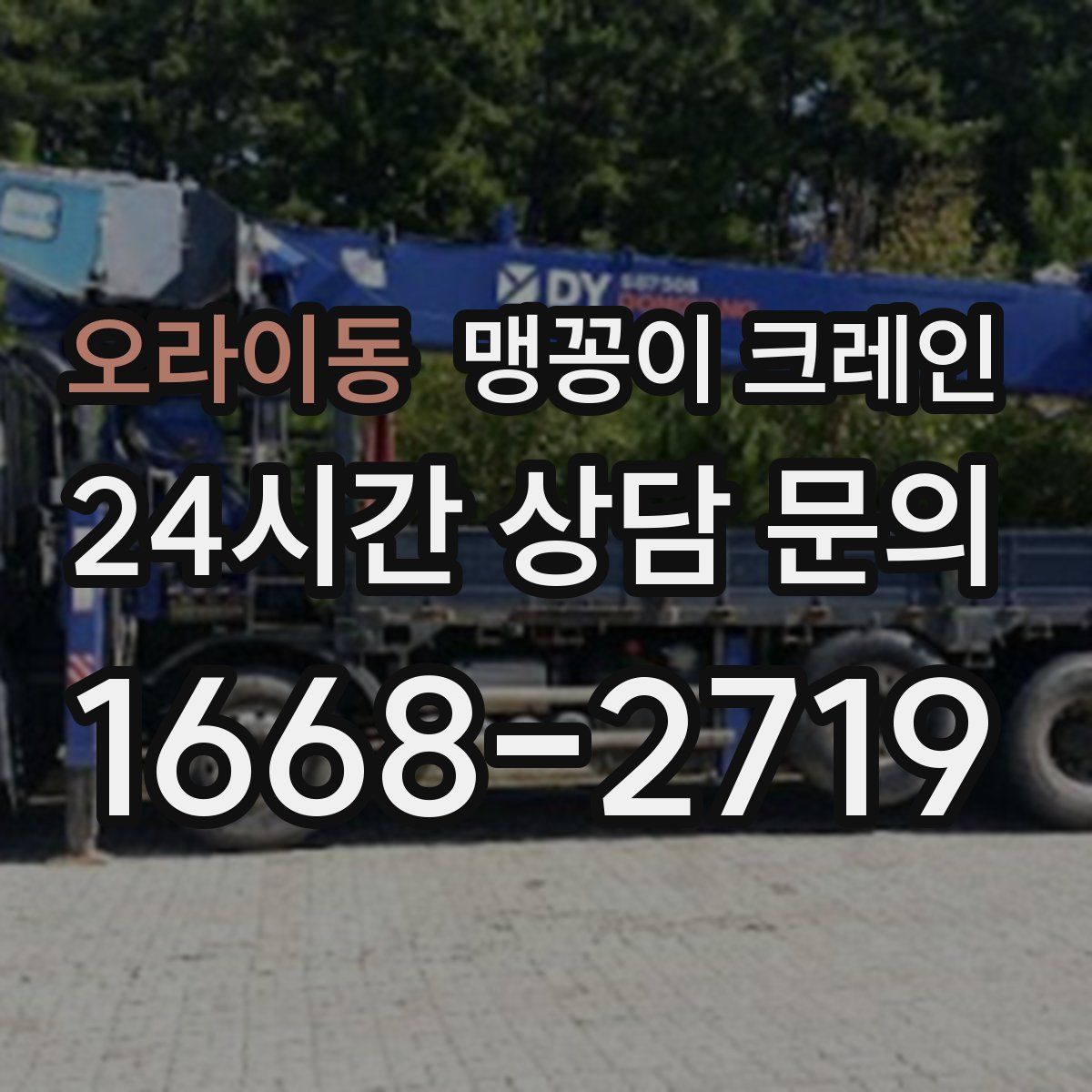 오라이동 맹꽁이 크레인