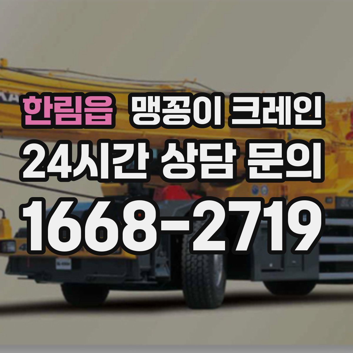 한림읍 맹꽁이 크레인