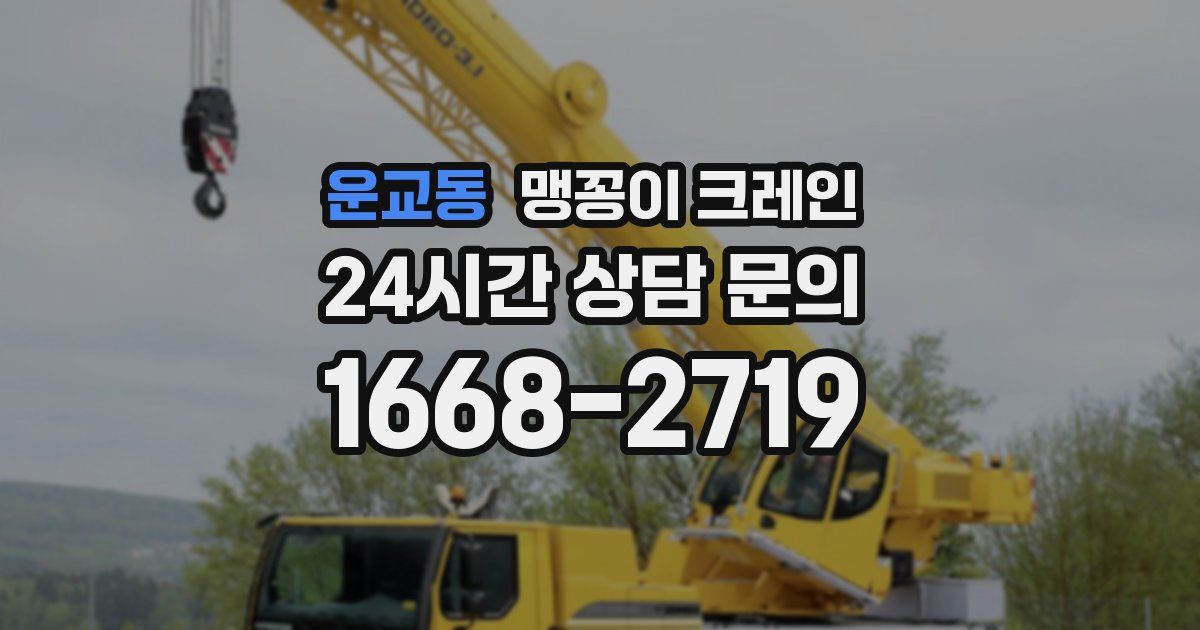 운교동 맹꽁이 크레인