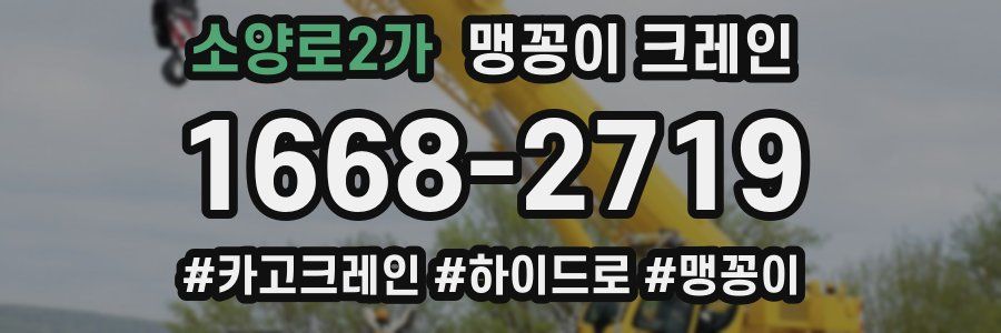 소양로2가 맹꽁이 크레인