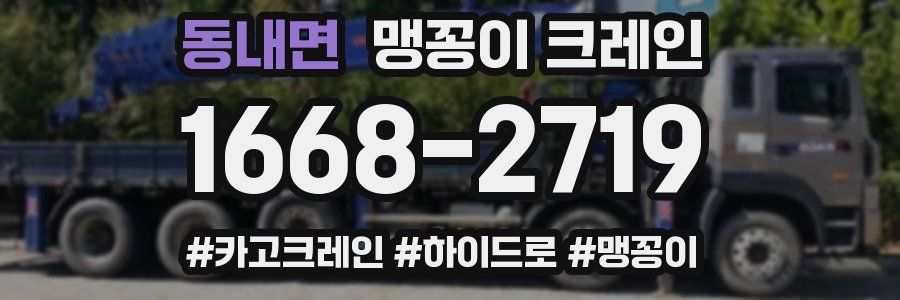 동내면 맹꽁이 크레인