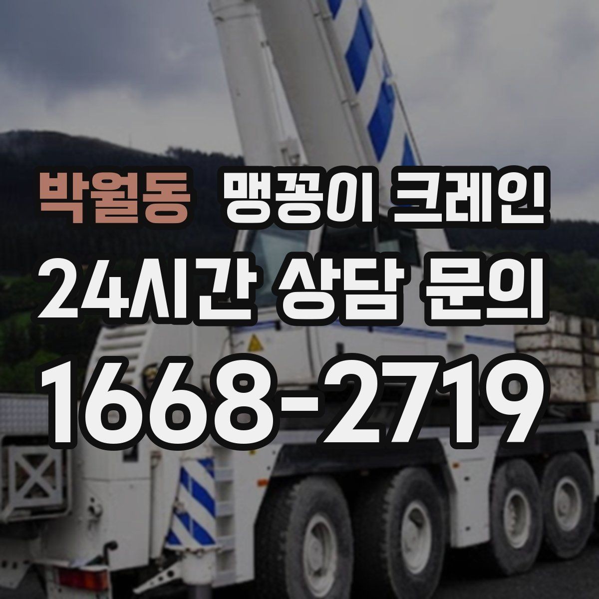 박월동 맹꽁이 크레인 작업 시간대 선택이 중요한 이유