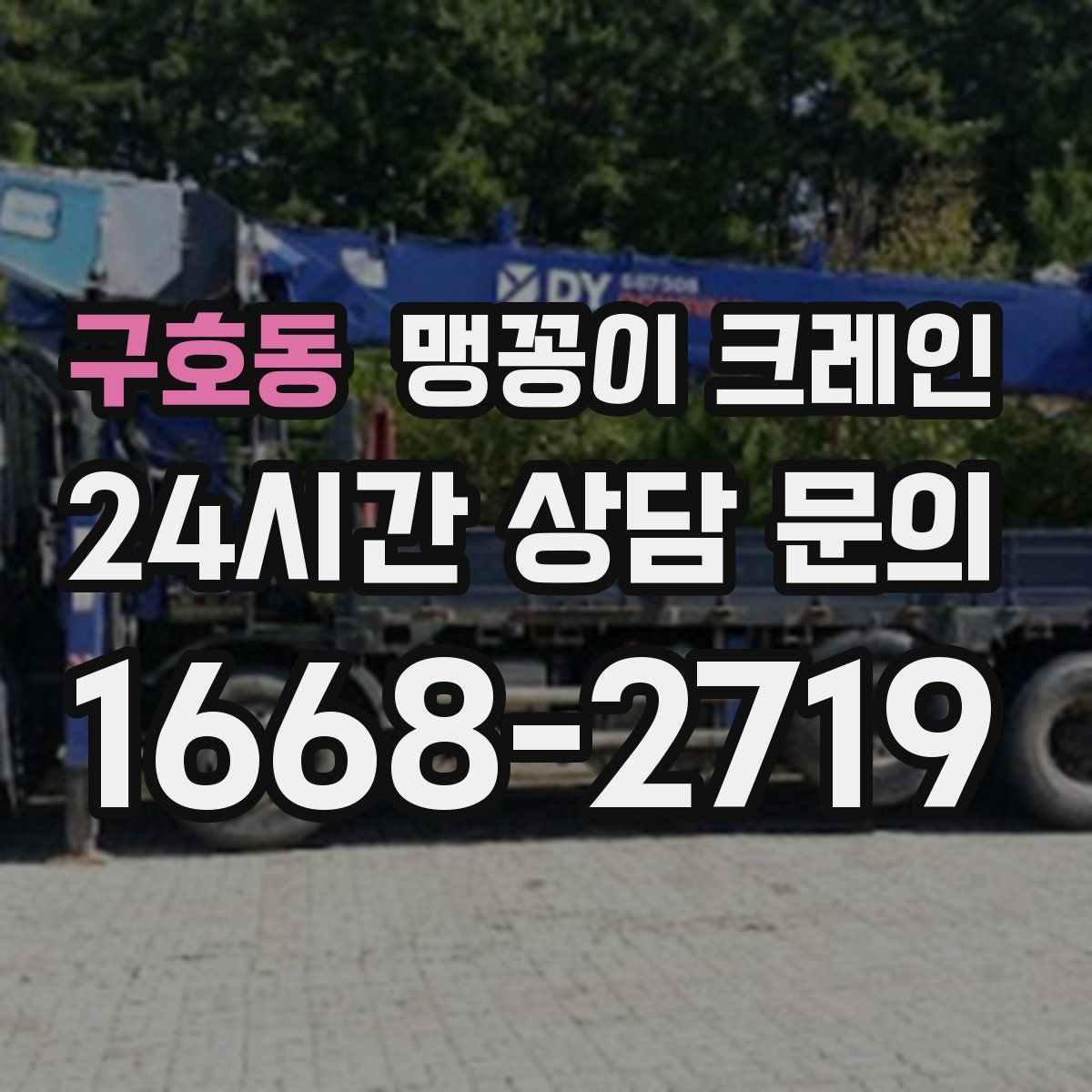 구호동 맹꽁이 크레인