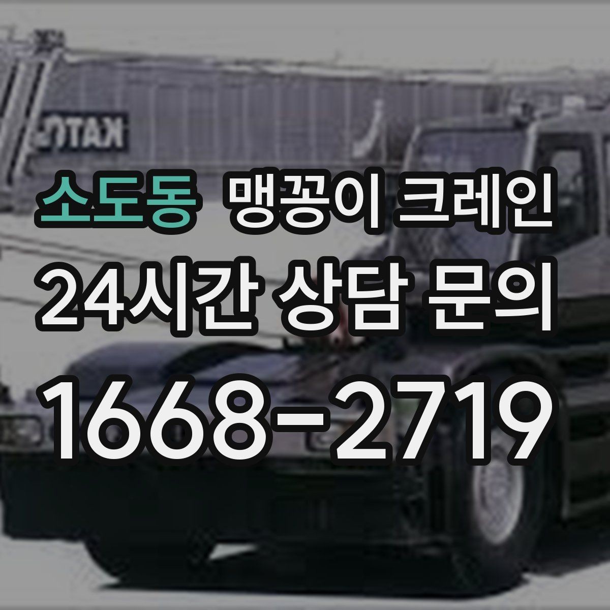 소도동 맹꽁이 크레인 설치 자리 선정이 중요한 이유