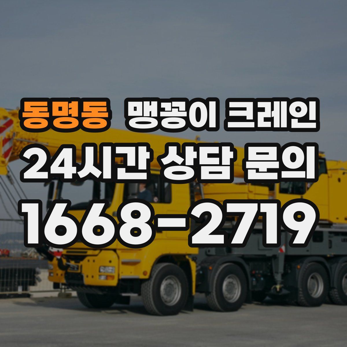 동명동 맹꽁이 크레인