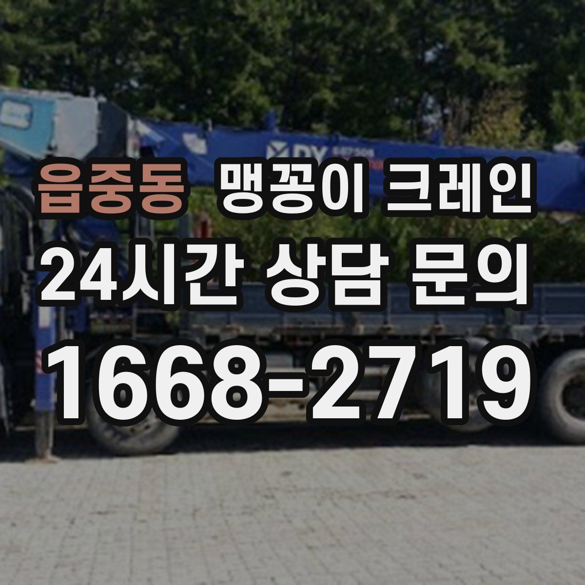 읍중동 맹꽁이 크레인