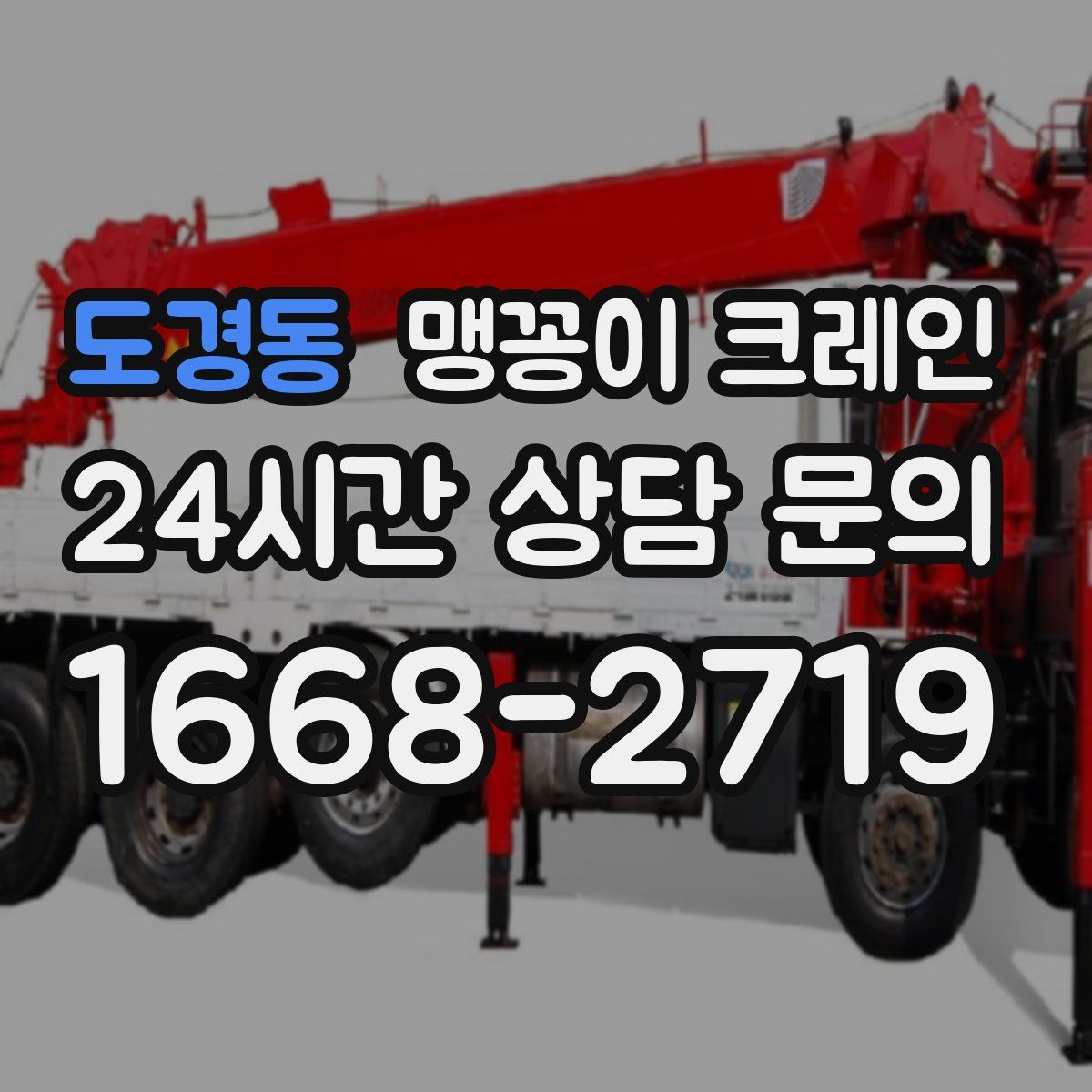 도경동 맹꽁이 크레인