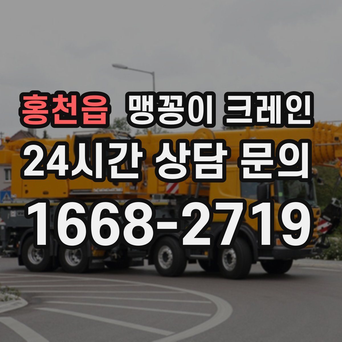 홍천읍 맹꽁이 크레인