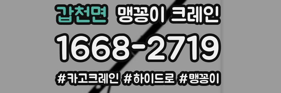 갑천면 맹꽁이 크레인