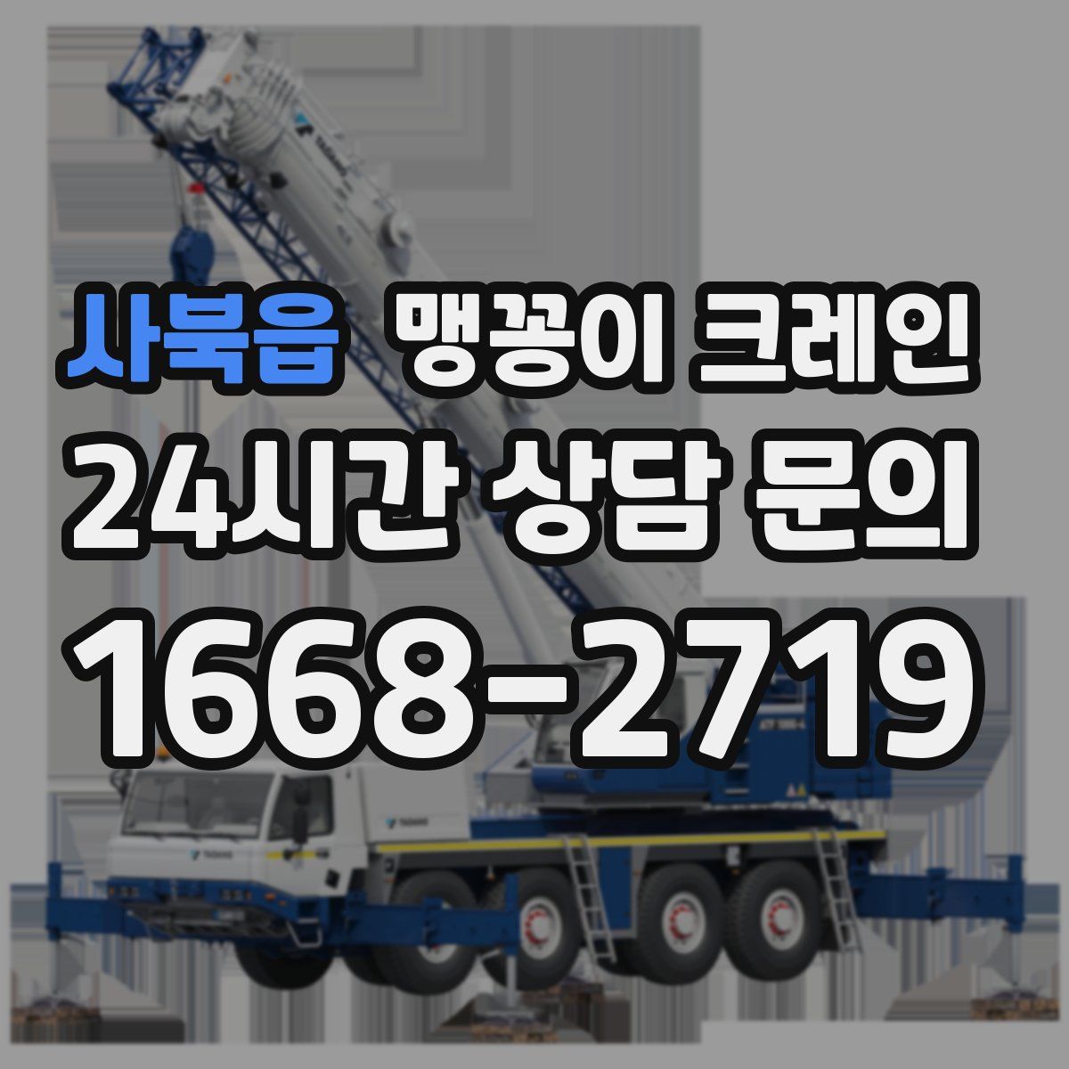 사북읍 맹꽁이 크레인