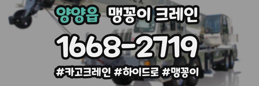 양양읍 맹꽁이 크레인