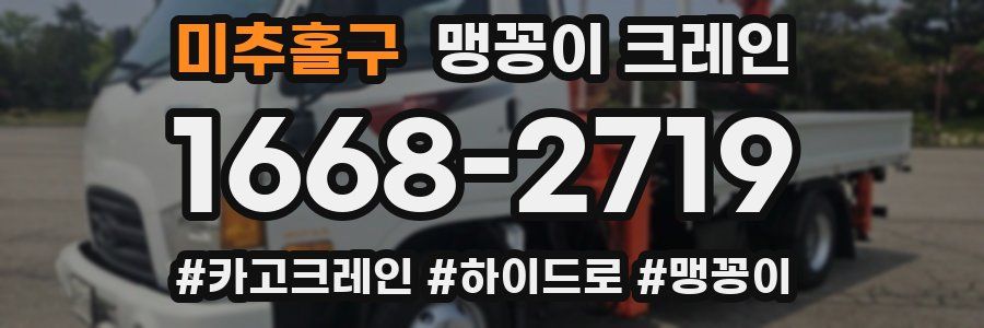 미추홀구 맹꽁이 크레인