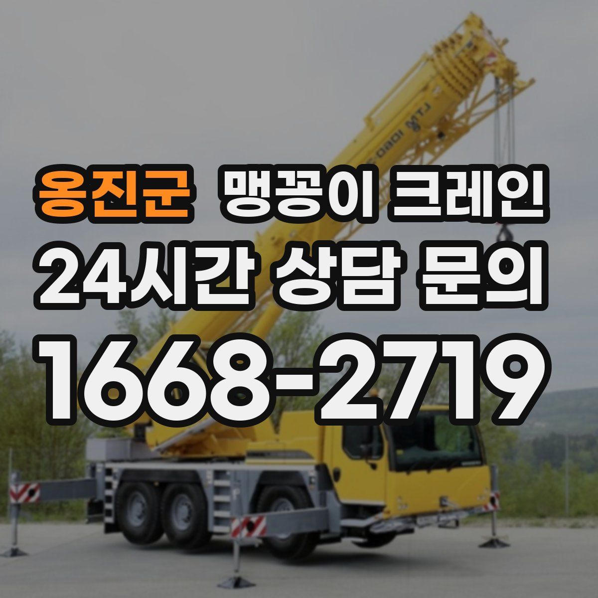 옹진군 맹꽁이 크레인