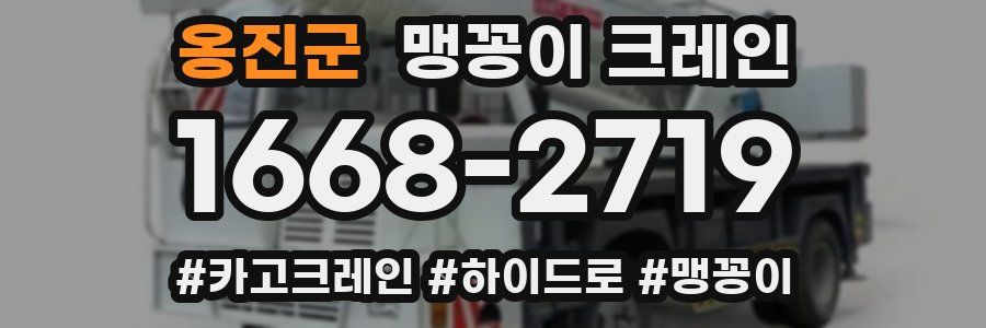 옹진군 맹꽁이 크레인