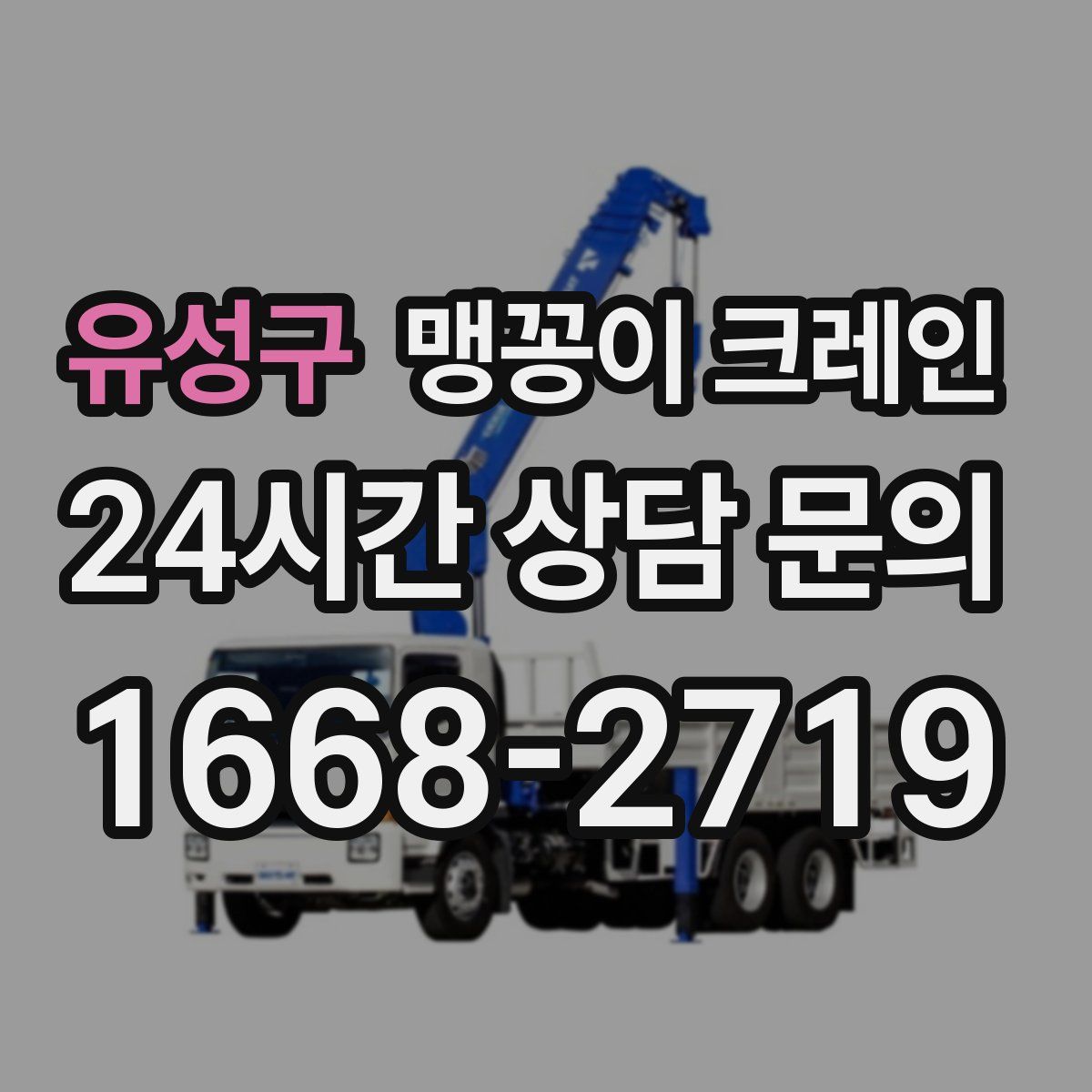 유성구 맹꽁이 크레인