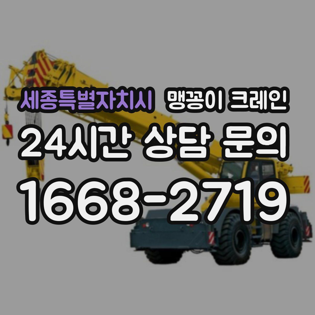 세종특별자치시 맹꽁이 크레인