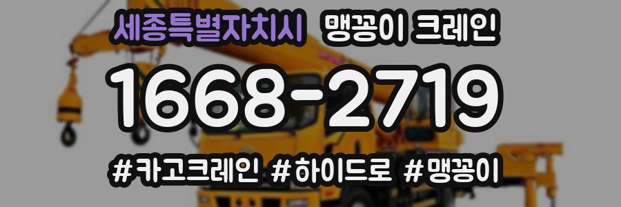 세종특별자치시 맹꽁이 크레인