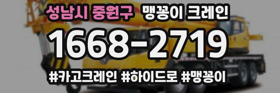 성남시 중원구 맹꽁이 크레인