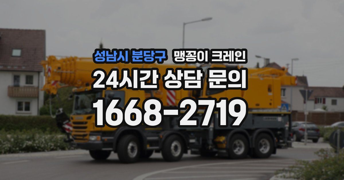 성남시 분당구 맹꽁이 크레인