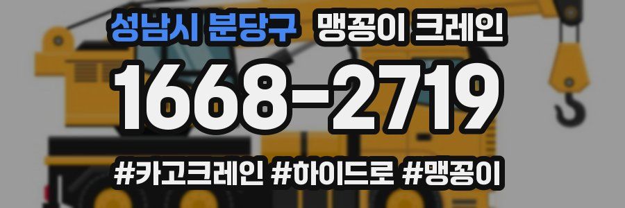 성남시 분당구 맹꽁이 크레인