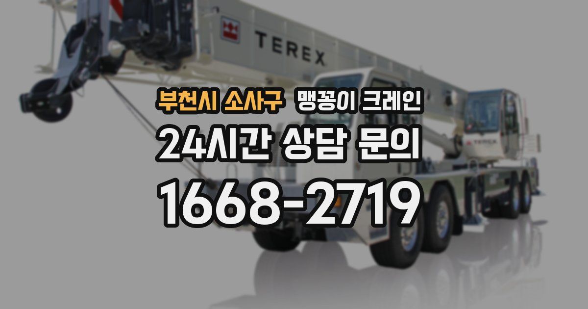 부천시 소사구 맹꽁이 크레인