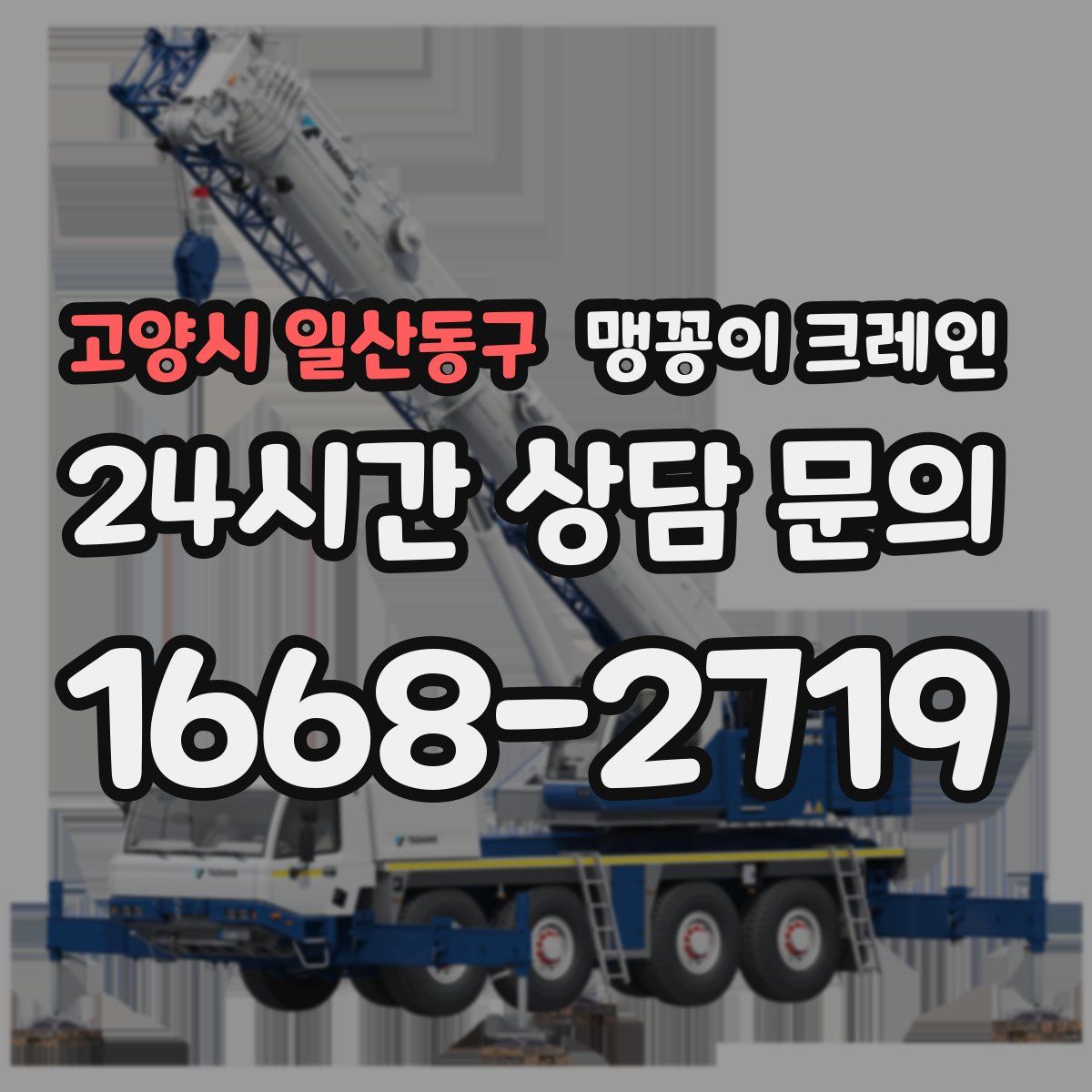 고양시 일산동구 맹꽁이 크레인