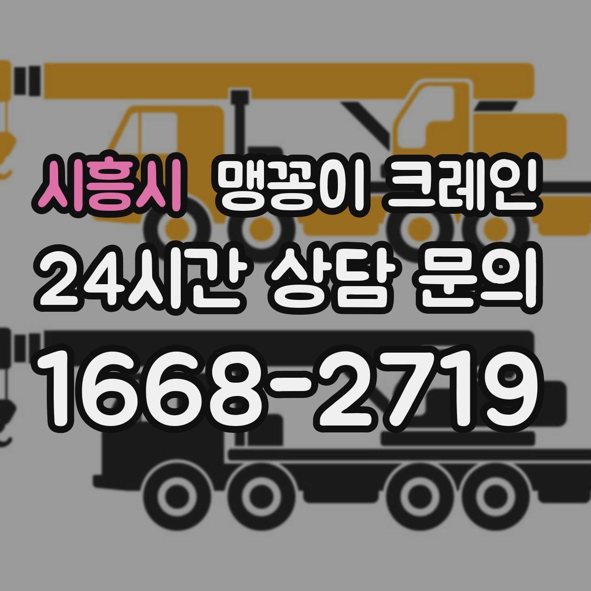 시흥시 맹꽁이 크레인